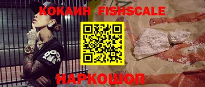 гашик Жуковский