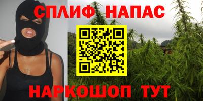 гашик Жуковский