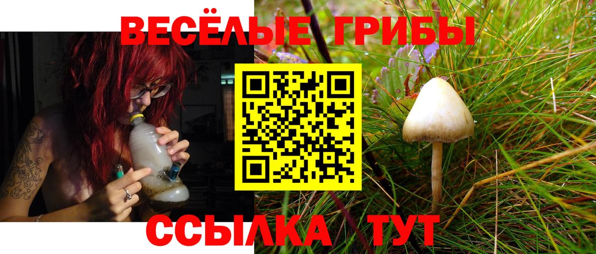 Псилоцибиновые грибы Magic Shrooms Люберцы